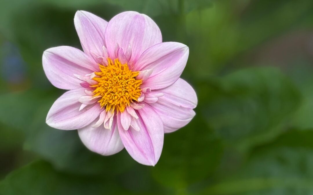 Cuando ya no cabes donde antes estabas/When you no longer fit where you once were