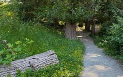 La Incertidumbre es la Puerta Hacia Nuevas Verdades