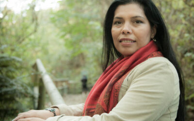 To the Woman in Transition / A la Mujer en Transición