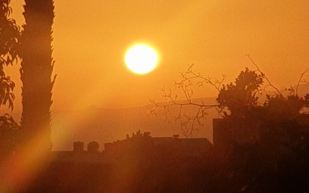 No Tienes que Hacerlo Sola/You Don’t Have to Do this Alone