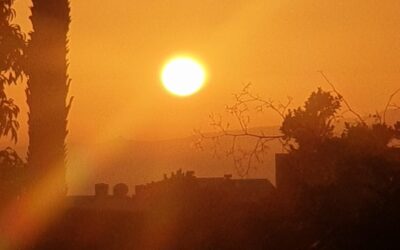 No Tienes que Hacerlo Sola/You Don’t Have to Do this Alone