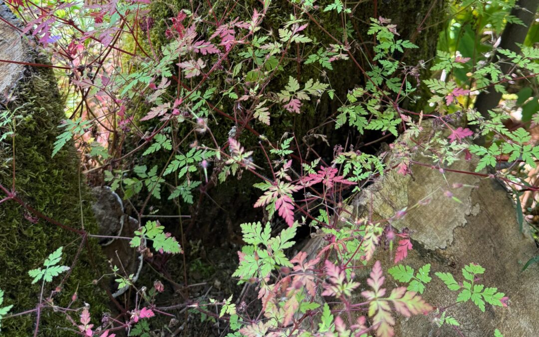 The small is also sacred.