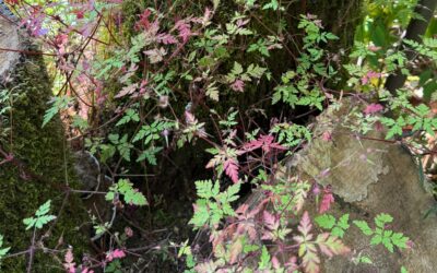 The small is also sacred.